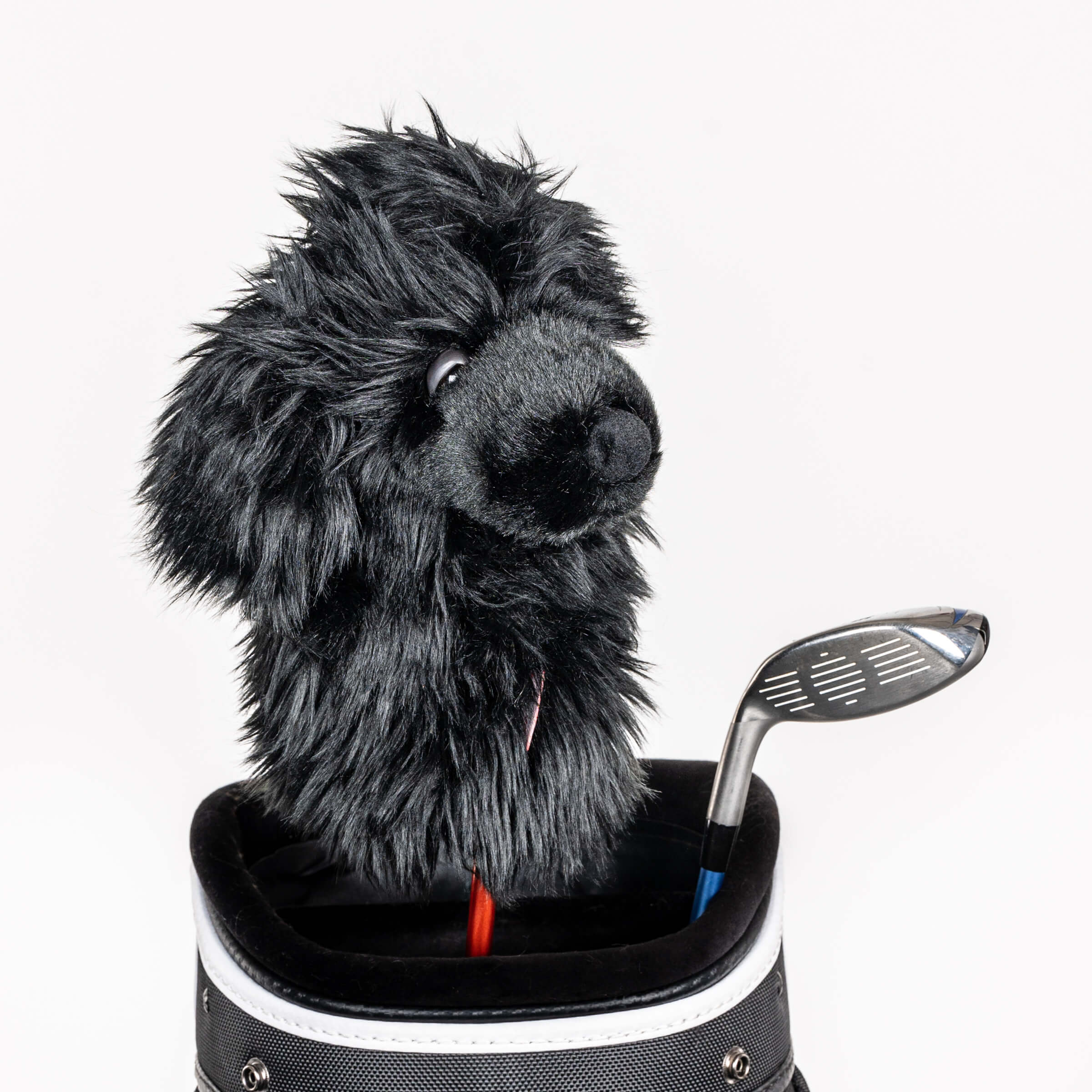 Black Poodle Hybrid Headcover - Daphne's Headcovers