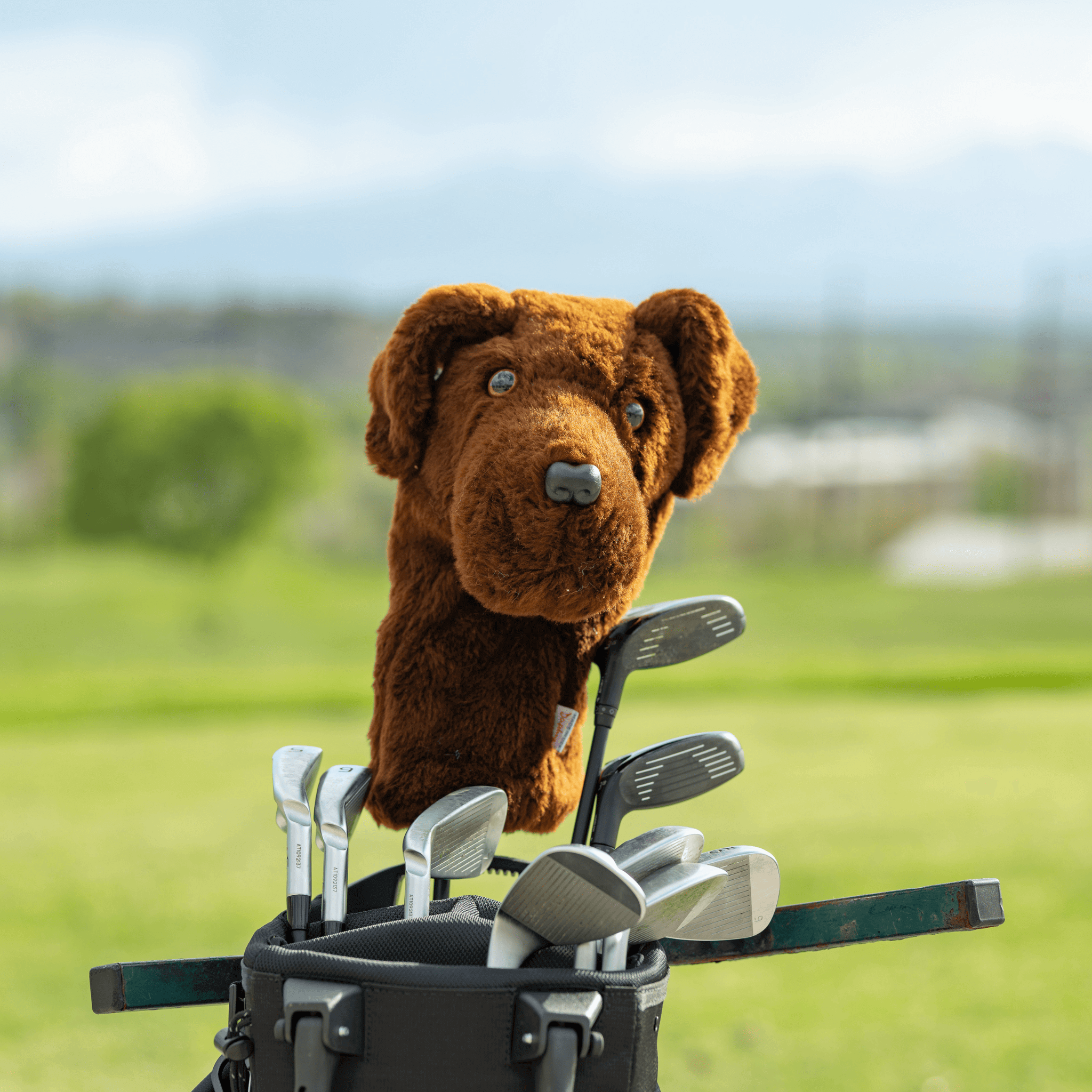 Chocolate Lab Golf Headcover - Daphne's Headcovers