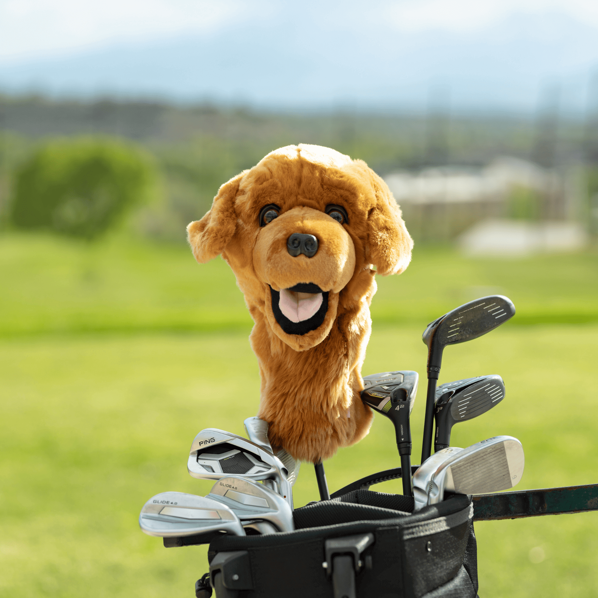 Golden Retriever Golf Headcover - Daphne's Headcovers