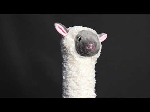 Lamb Hybrid