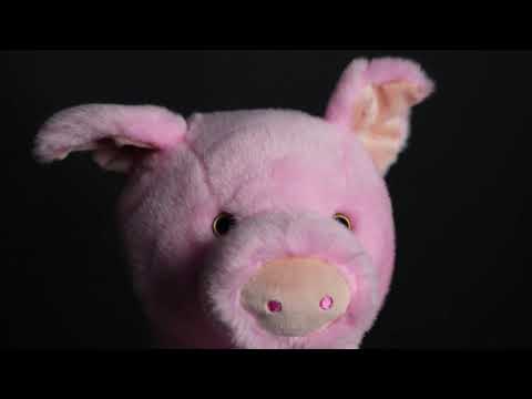 Pig