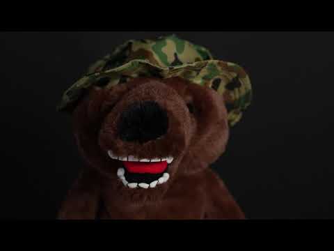 Military Bear