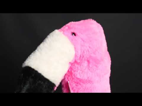 Flamingo Hybrid